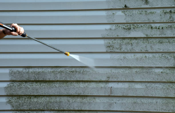 Best Residential Pressure Washing in Gibsonton, FL